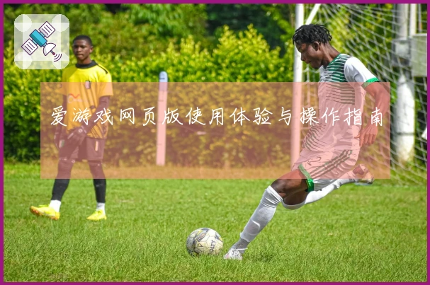 爱游戏网页版使用体验与操作指南