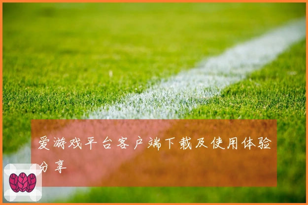 爱游戏平台客户端下载及使用体验分享